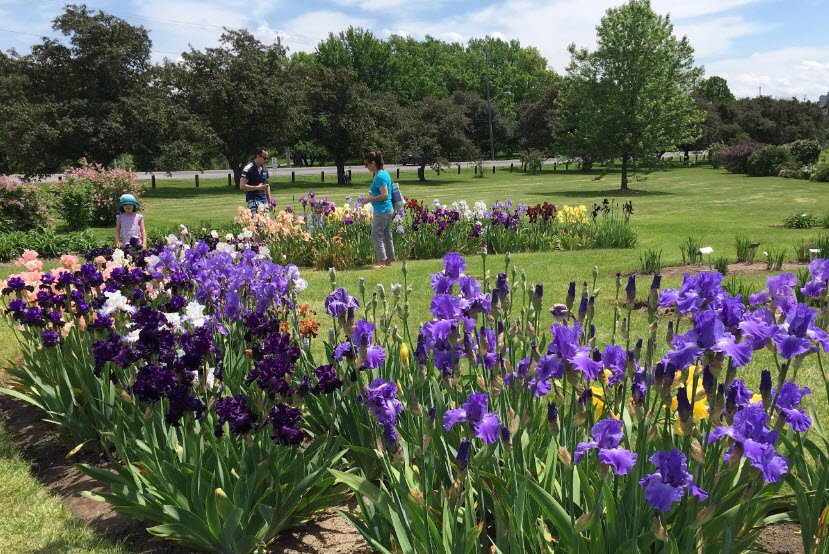 Dominion Arboretum , Canada